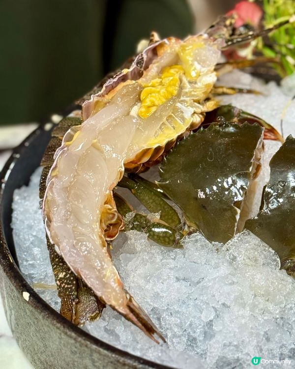 尖沙咀性價比任食火鍋 海鮮驚喜高質