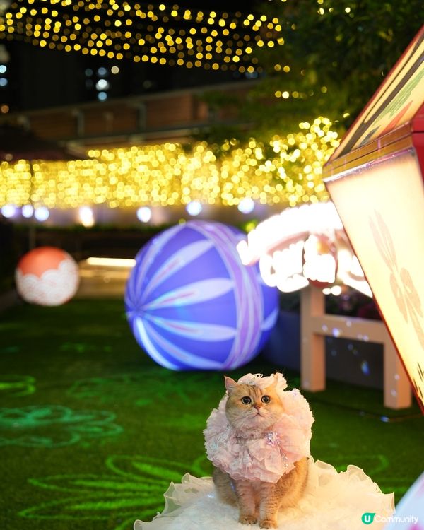 寵物夜景好去處💚上水廣場