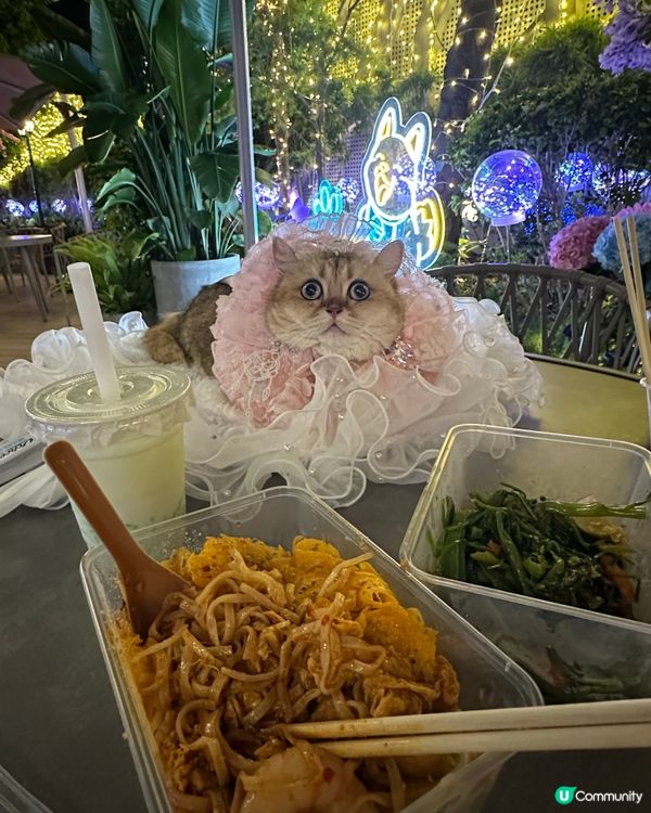 寵物夜景好去處💚上水廣場