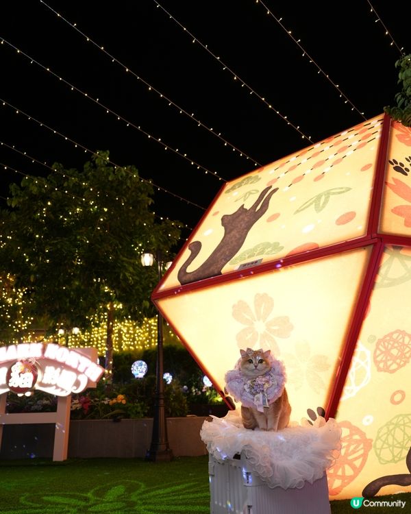 寵物夜景好去處💚上水廣場