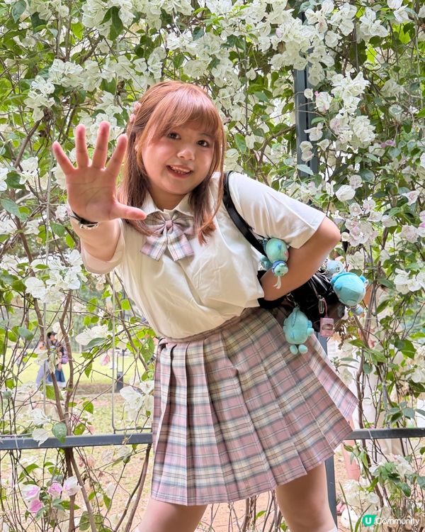 賞花季🌸蓮花山花瀑！ 200米美景 🥰