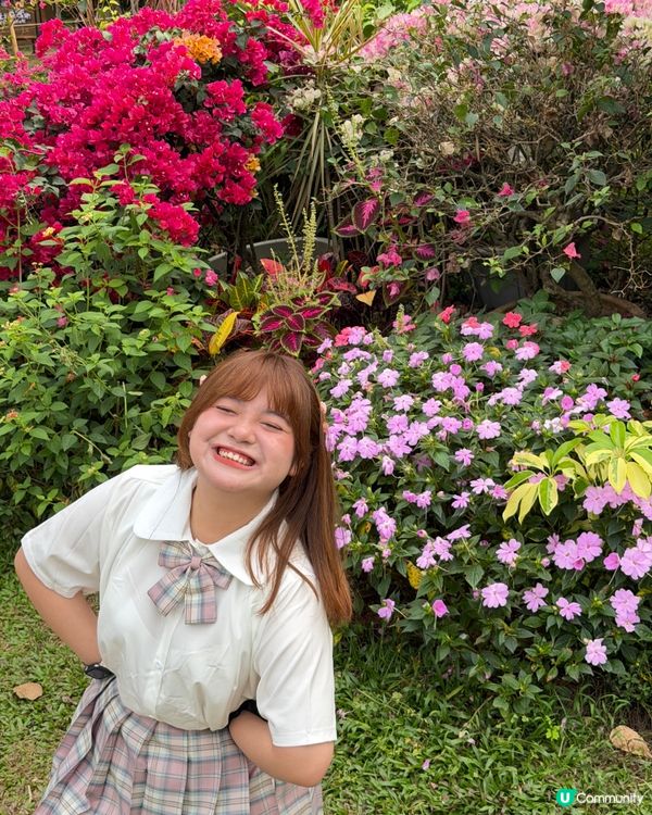 賞花季🌸蓮花山花瀑！ 200米美景 🥰