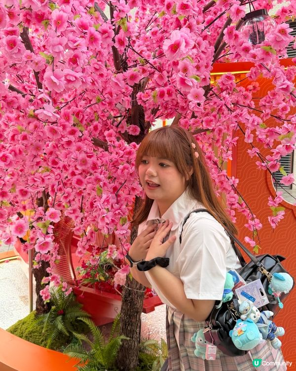賞花季🌸蓮花山花瀑！ 200米美景 🥰