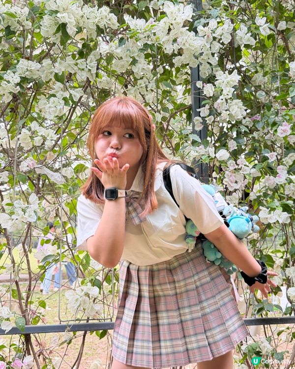 賞花季🌸蓮花山花瀑！ 200米美景 🥰