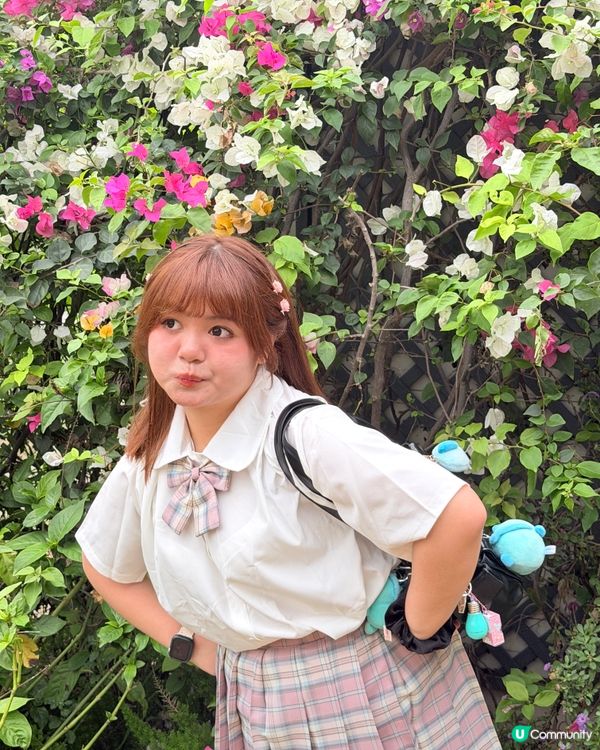 賞花季🌸蓮花山花瀑！ 200米美景 🥰