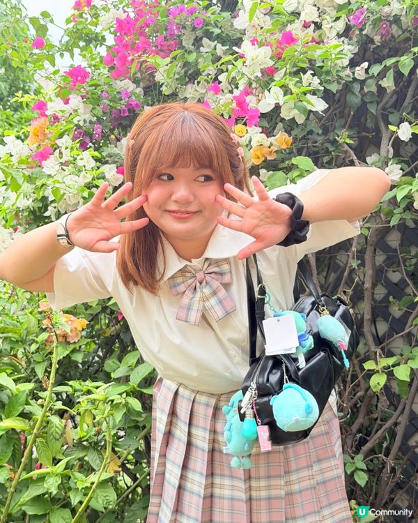 賞花季🌸蓮花山花瀑！ 200米美景 🥰