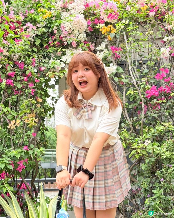 賞花季🌸蓮花山花瀑！ 200米美景 🥰