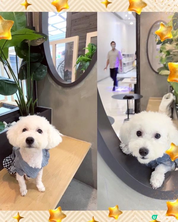 觀塘寵物友善西餐餐廳🥐