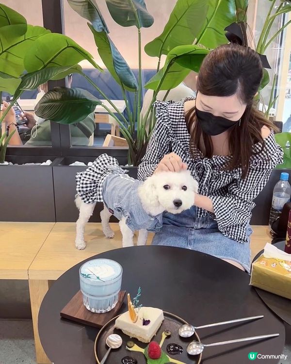 觀塘寵物友善西餐餐廳🥐