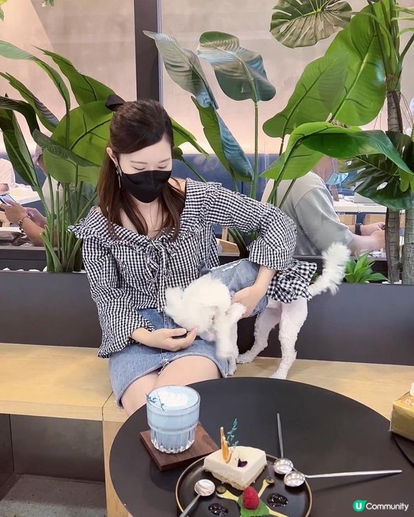 觀塘寵物友善西餐餐廳🥐