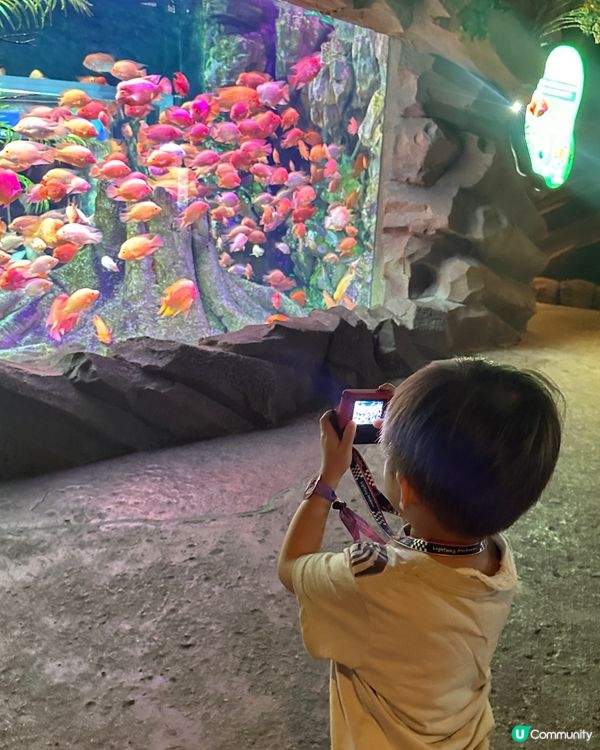  #長隆放電假期 長隆度假村 暑假之旅