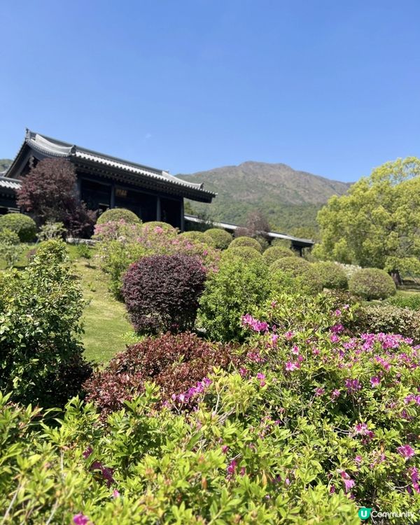 🌿走進寧靜｜慈山寺半日心靈充電之旅🕊️