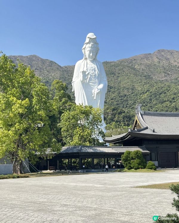 🌿走進寧靜｜慈山寺半日心靈充電之旅🕊️