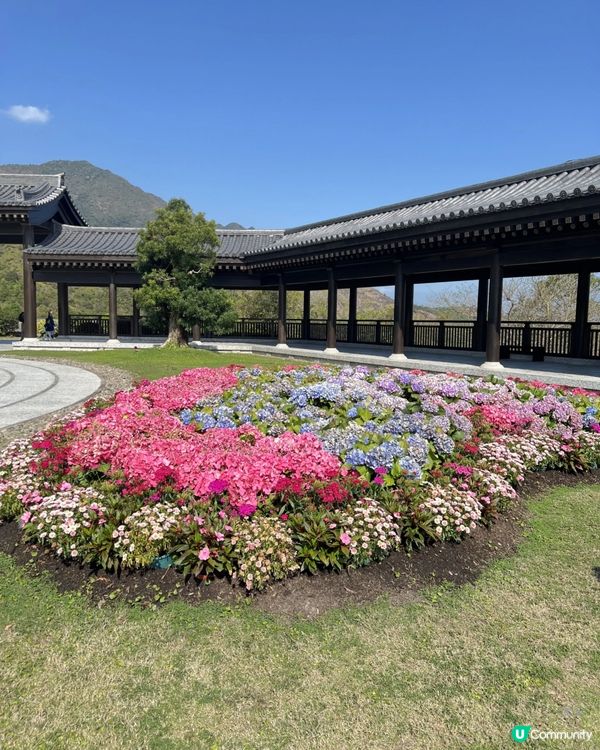 🌿走進寧靜｜慈山寺半日心靈充電之旅🕊️