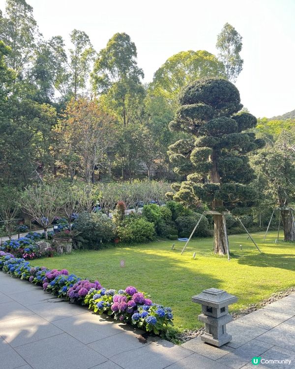 🌿走進寧靜｜慈山寺半日心靈充電之旅🕊️