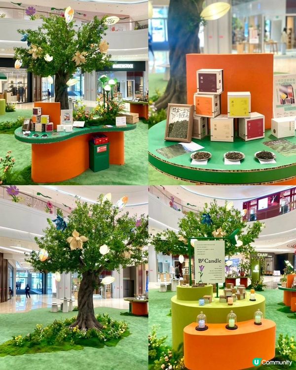 平安金融中心！食米芝蓮級美食😋