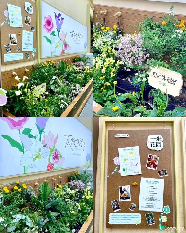 平安金融中心！食米芝蓮級美食😋