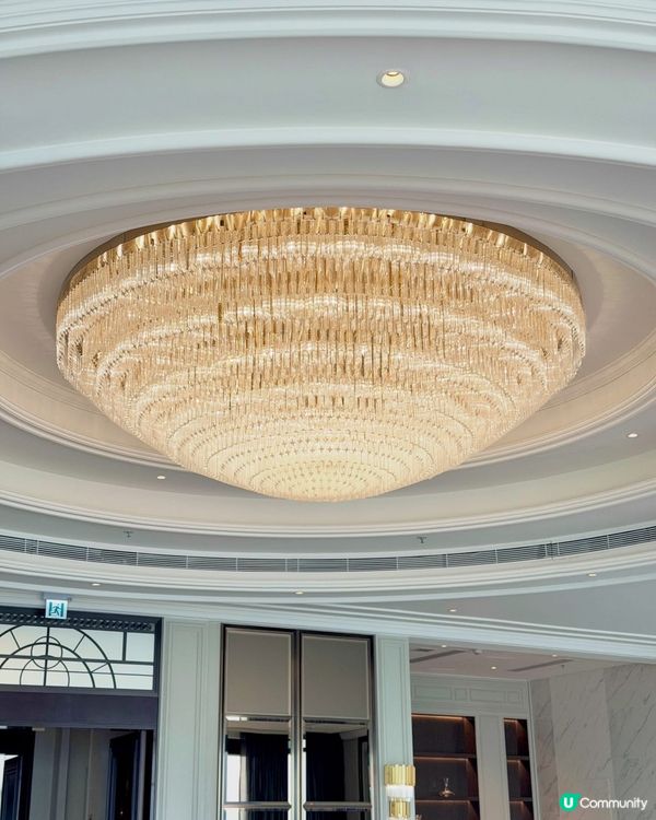 全景靚場 🎉 飽覽維港！58樓震撼登場！✨