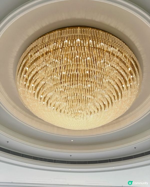 全景靚場 🎉 飽覽維港！58樓震撼登場！✨