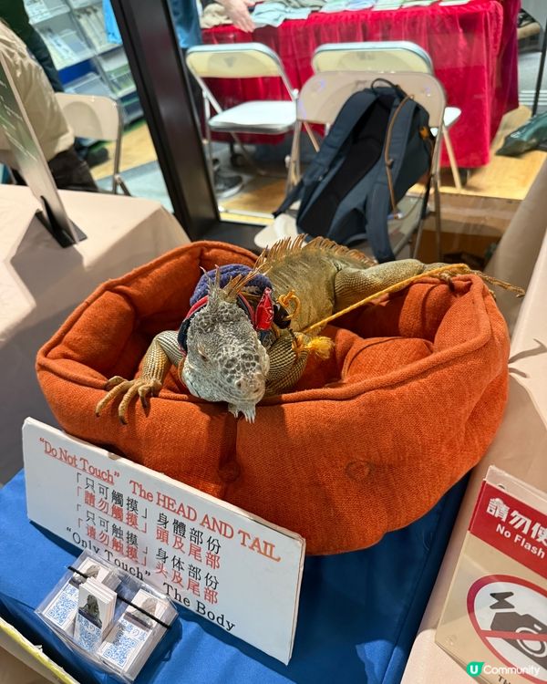 復活節去零碳天地💚 | 🌳生物多樣性市集🌳