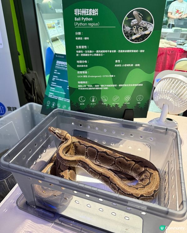 復活節去零碳天地💚 | 🌳生物多樣性市集🌳