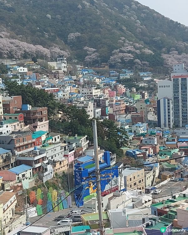 釜山甘川洞文化村