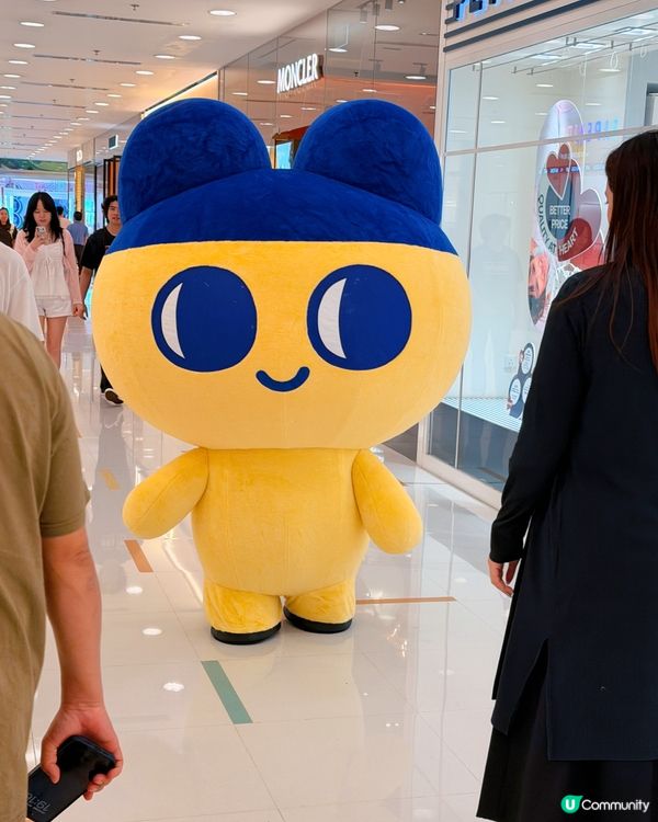 動漫迷集合！海港城變動漫天堂🤩✨