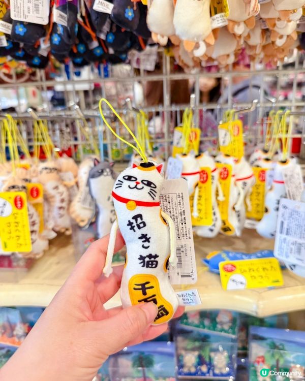 坐 #麗星郵輪#領航星號去日本沖繩💖六日五夜航程好happy...