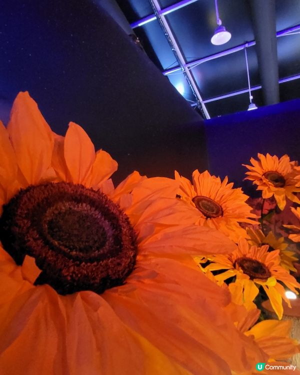 食得落肚嘅藝術品🍴Edible Art Fair