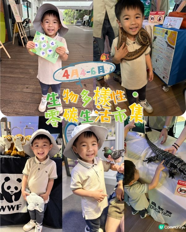 九龍灣免費玩攤位 體驗🐍🐢🦎