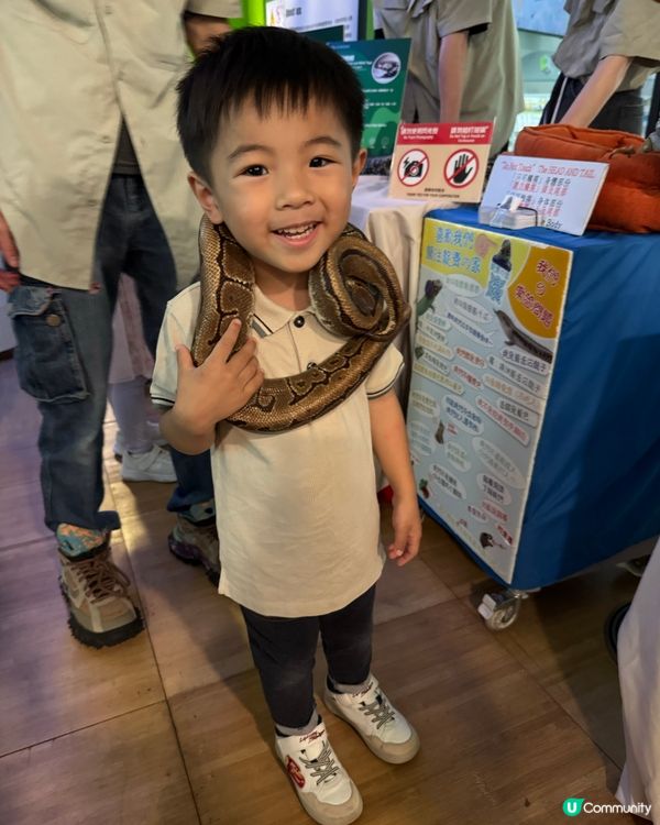 九龍灣免費玩攤位 體驗🐍🐢🦎