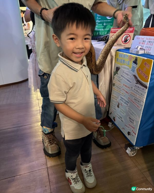 九龍灣免費玩攤位 體驗🐍🐢🦎