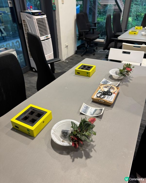 九龍灣免費玩攤位 體驗🐍🐢🦎