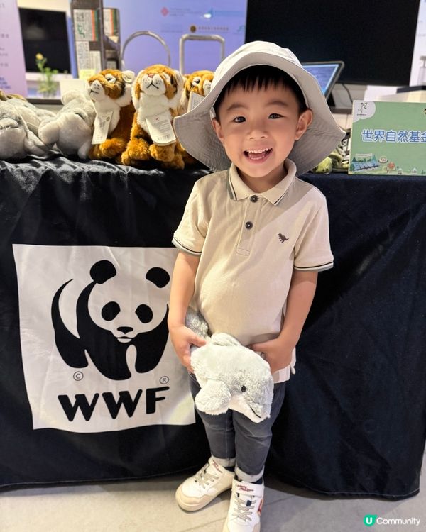 九龍灣免費玩攤位 體驗🐍🐢🦎