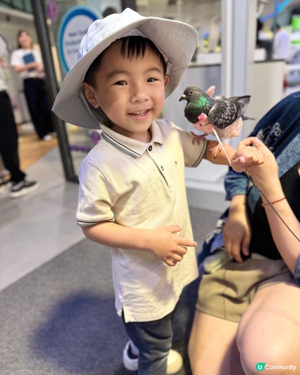 九龍灣免費玩攤位 體驗🐍🐢🦎