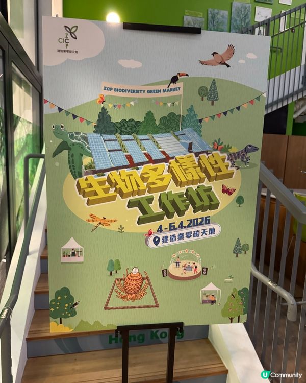 九龍灣免費玩攤位 體驗🐍🐢🦎