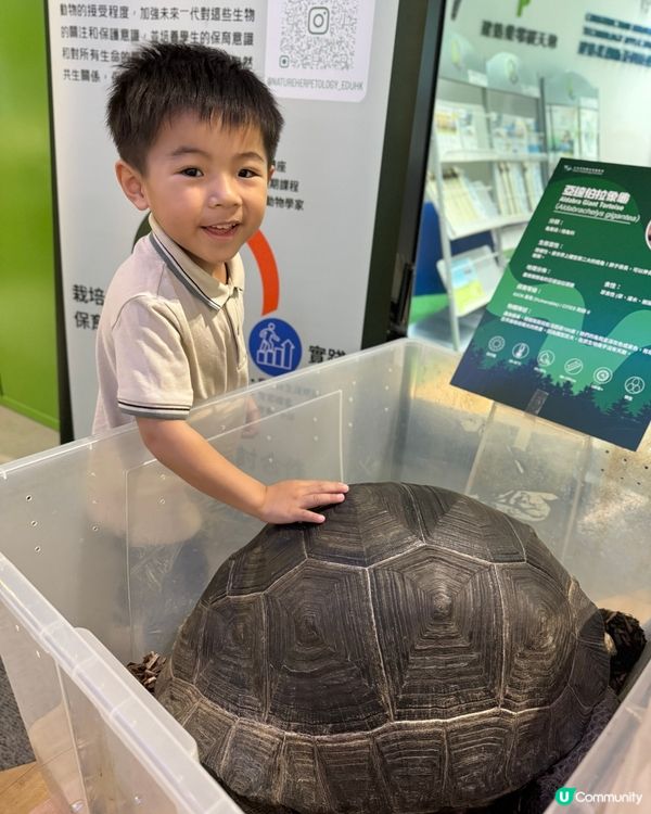 九龍灣免費玩攤位 體驗🐍🐢🦎