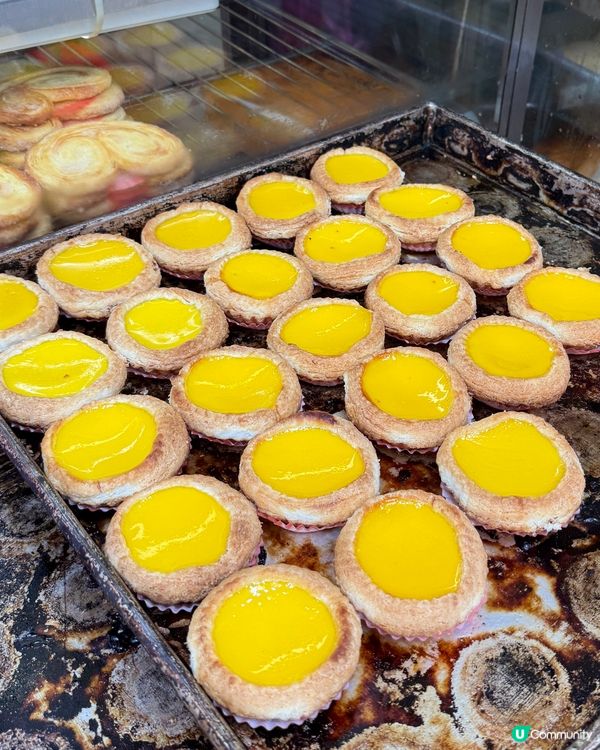 長沙灣深水埗掃街！🍜💥