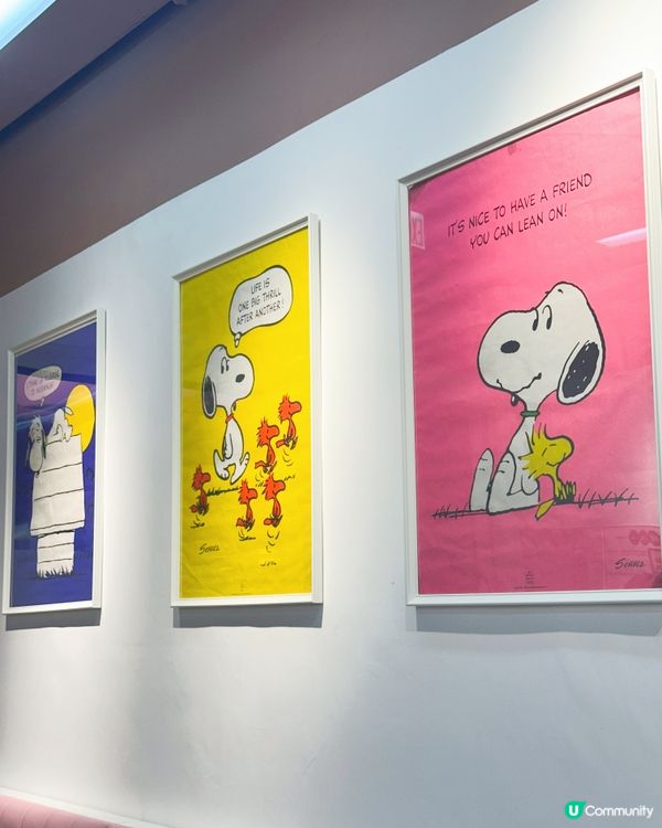 人氣糕點回歸！😍