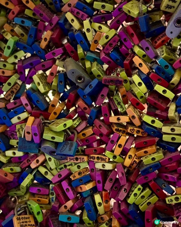 炸雞店爆滿！邪惡拉絲芝士🧀🌶️🍗💖