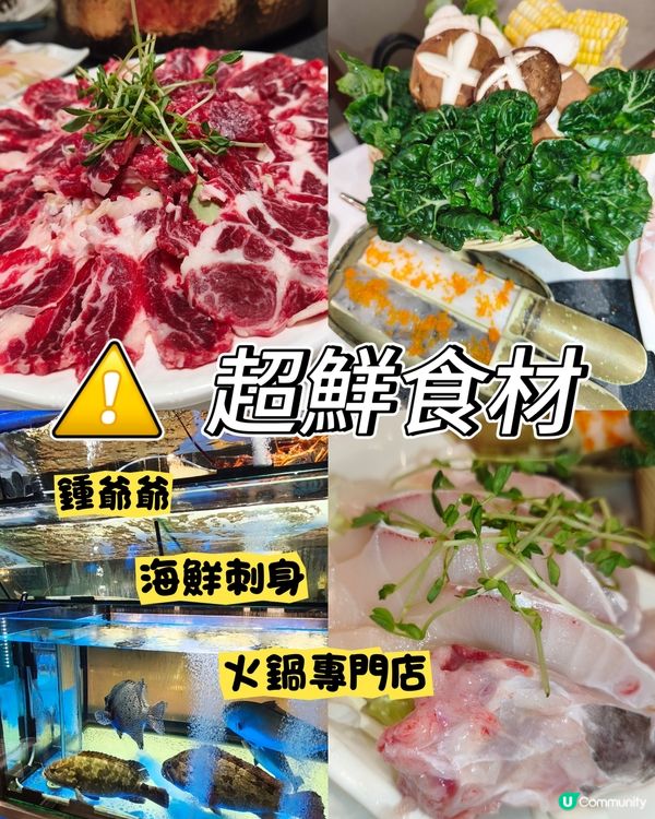 Foca - 彈彈彈👍🏻 - 鍾爺爺海鮮刺身火鍋專門店