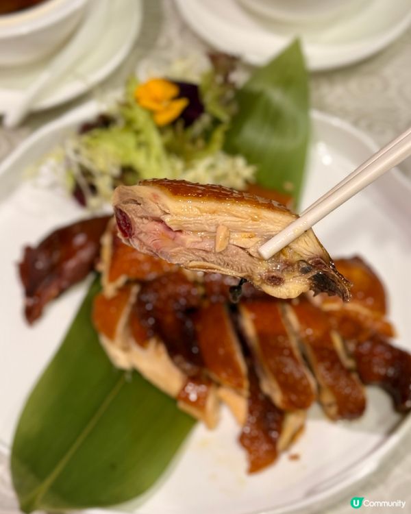 何文田MUclub覓食！中菜廳驚喜！🍲🌟