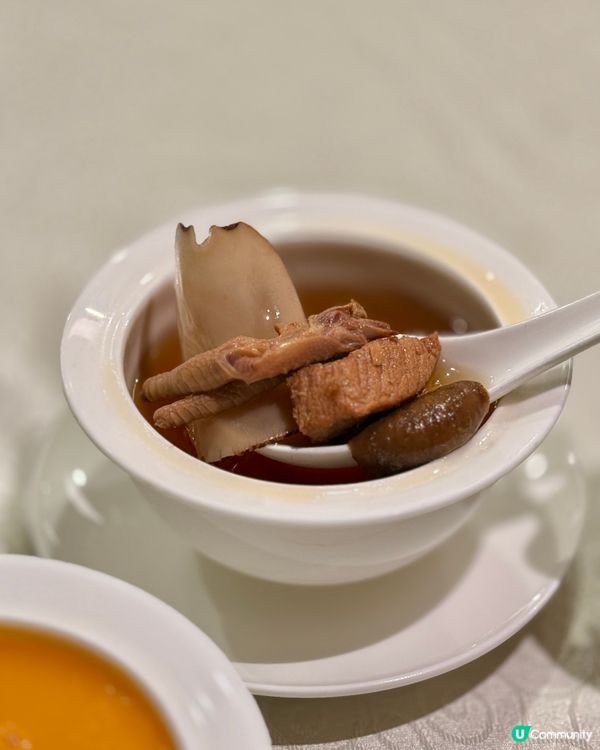 何文田MUclub覓食！中菜廳驚喜！🍲🌟