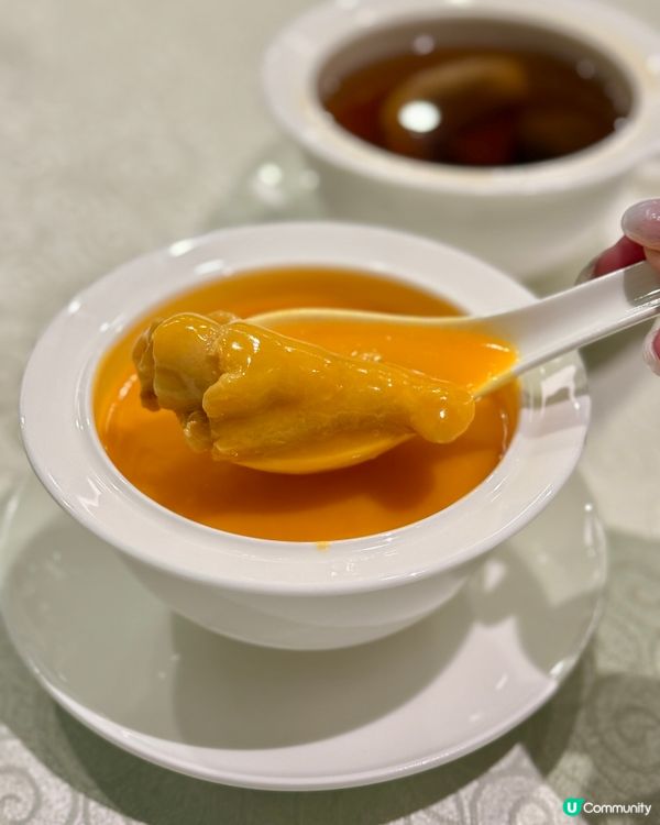 何文田MUclub覓食！中菜廳驚喜！🍲🌟