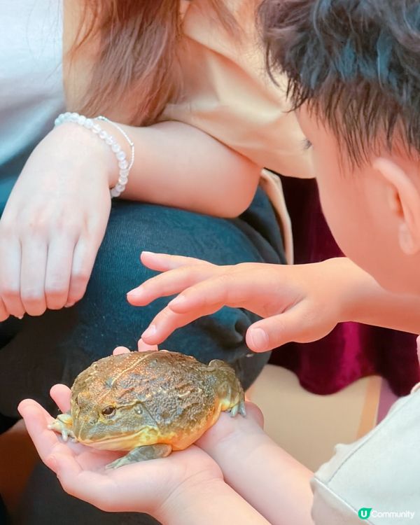 巨大化「蟲」林玩轉復活節！🐛💦將軍澳新都城