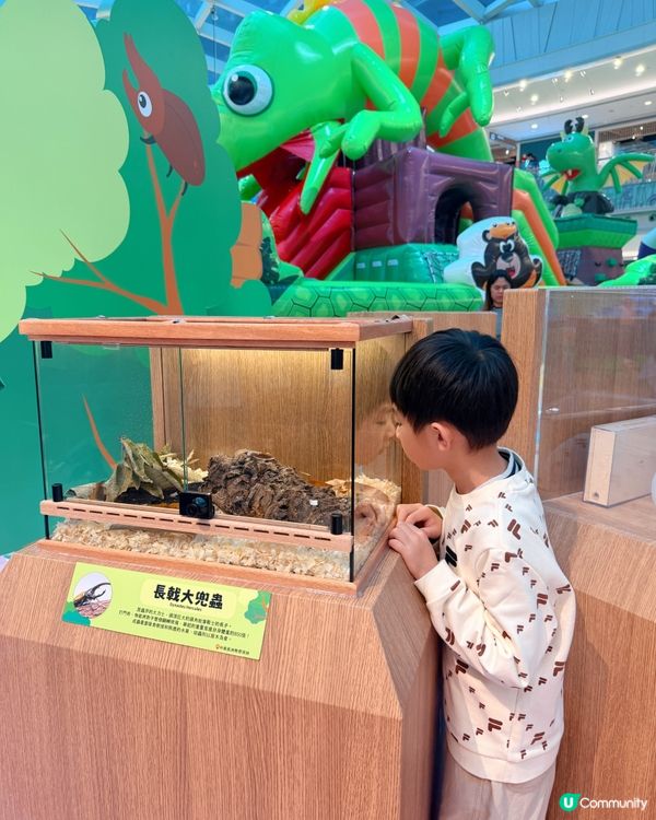 巨大化「蟲」林玩轉復活節！🐛💦將軍澳新都城