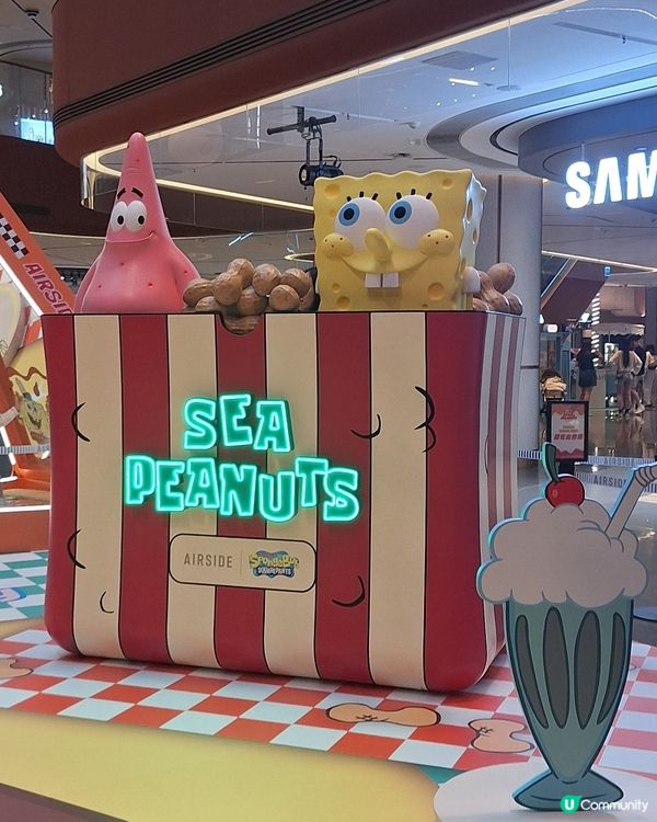 見到海綿寶寶同派大星呀