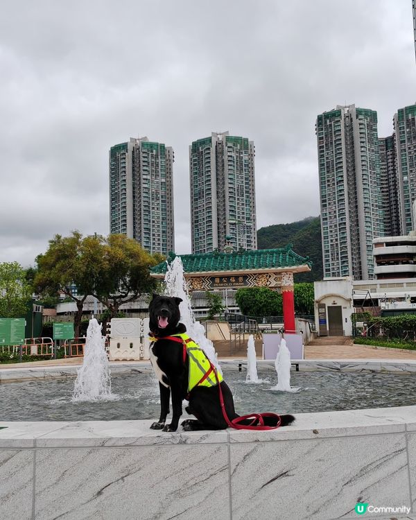 復活節彭福公園行🐰☁️🌧️