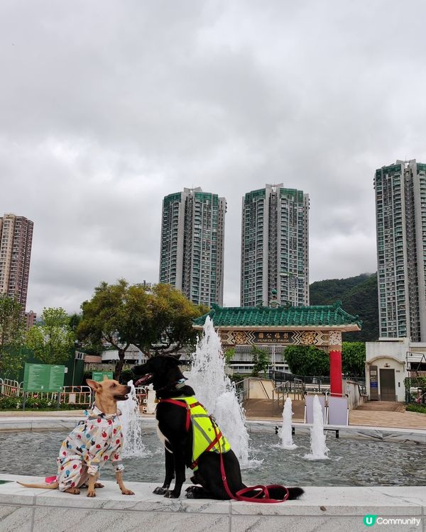 復活節彭福公園行🐰☁️🌧️