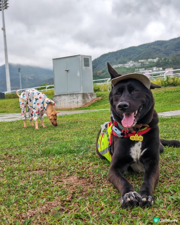 復活節彭福公園行🐰☁️🌧️
